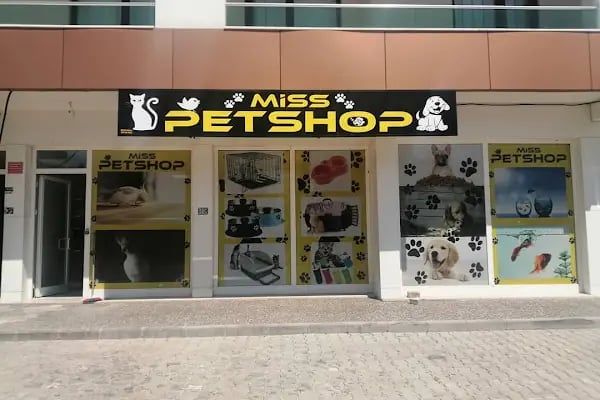 Miss Pet shop - Resim 3