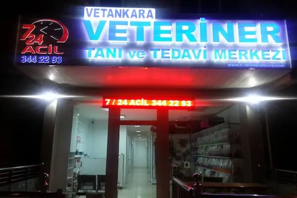 Vetankara Veteriner Yenimahalle - Resim 9