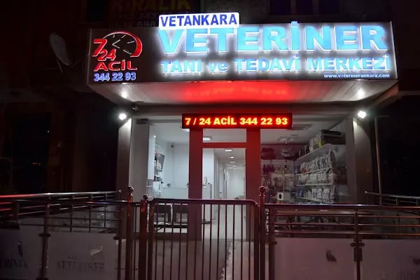 Vetankara Veteriner Yenimahalle - Resim 3