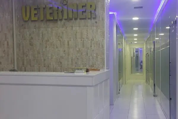 Vetankara Veteriner Yenimahalle - Resim 4