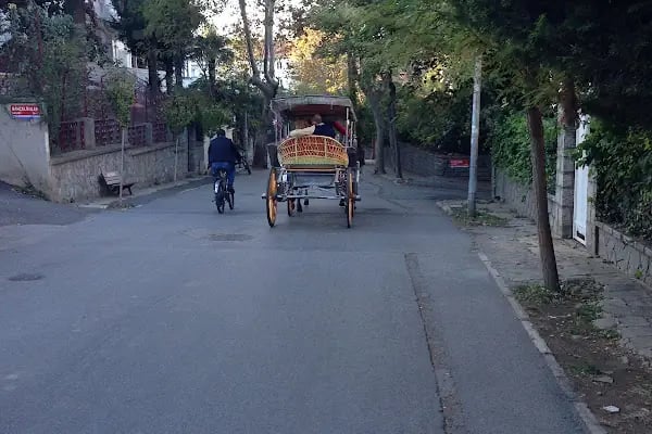 Di̇lmaclar Pansi̇yon - Resim 13