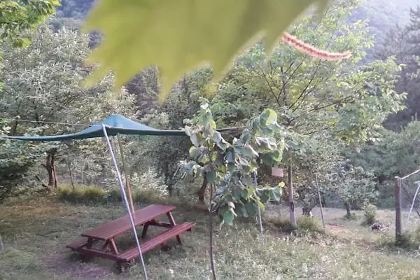Saitabat Şelale Meşeli Tepe Piknik Alanı - Resim 13