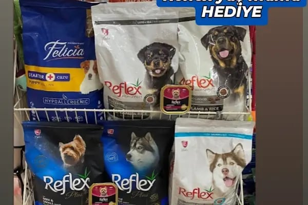 Bülent Pet Shop &amp; Pet Kuaför - Resim 8