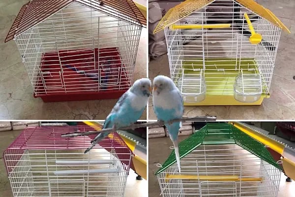 Bülent Pet Shop &amp; Pet Kuaför - Resim 3
