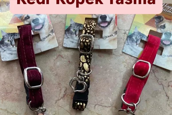 Bülent Pet Shop &amp; Pet Kuaför - Resim 7