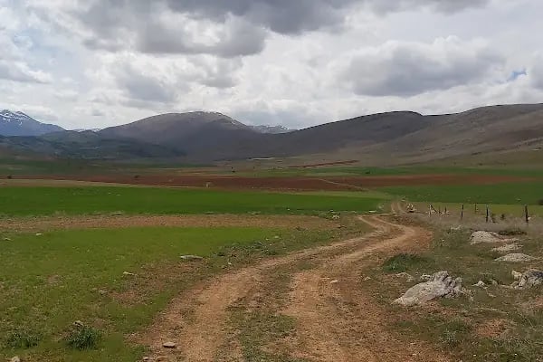 Altınelma - Resim 3