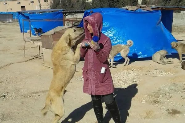 PELİT VETERİNER KLİNİĞİ - Resim 16