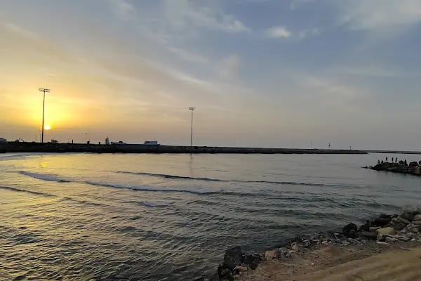 IC İÇTAŞ Sakarya Karasu Limanı Yatırım ve İşletme A.Ş. - Resim 7