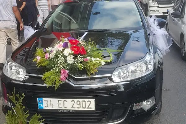 Filiz Cicek Evi - Resim 8