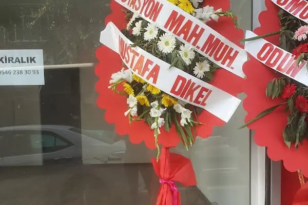 Filiz Cicek Evi - Resim 13