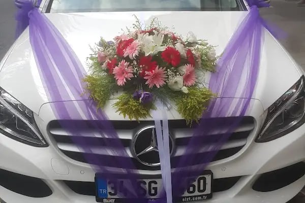 Filiz Cicek Evi - Resim 9