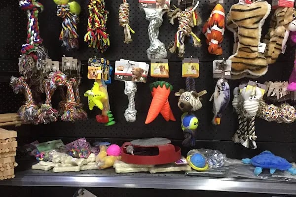 MEDA PET SHOP - Resim 5