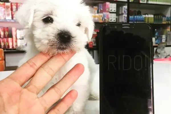 MEDA PET SHOP - Resim 9