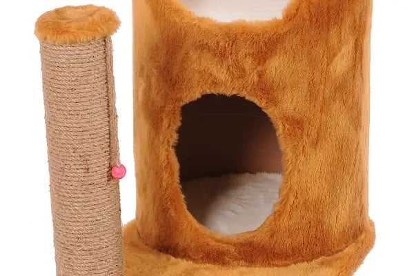 MEDA PET SHOP - Resim 13