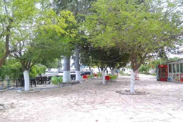 Uçak Aile Çaybahçesi - Resim 3