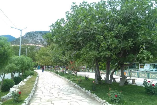 Uçak Aile Çaybahçesi - Resim 2