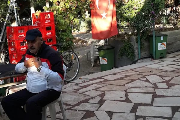 Uçak Aile Çaybahçesi - Resim 7