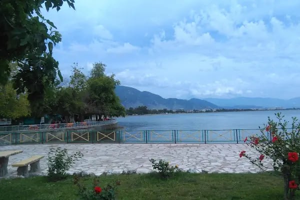 Uçak Aile Çaybahçesi - Resim 4
