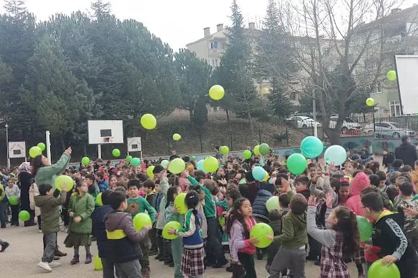 Alanyurt 75. Yıl İlkokulu Ve Ortaokulu - Resim 1