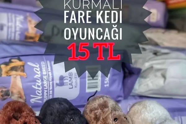OSMANLI PETSHOP Akvaryum & Ayakkabı, valiz, çanta, deri mont,Tamir işleri - Resim 11