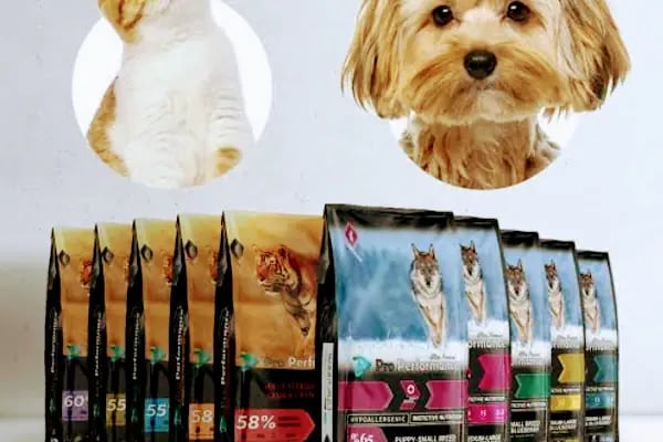 OSMANLI PETSHOP Akvaryum & Ayakkabı, valiz, çanta, deri mont,Tamir işleri - Resim 1