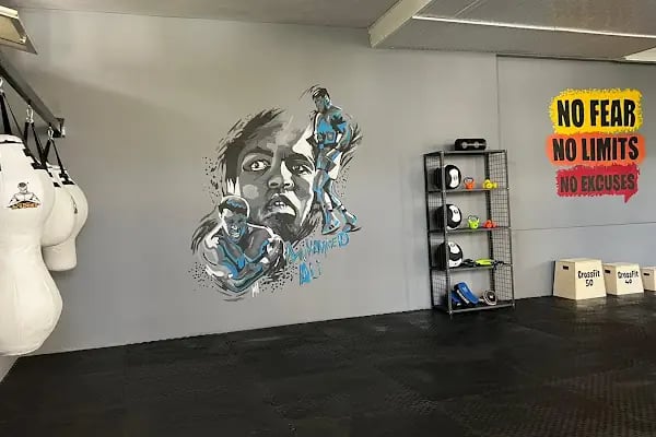 Lion's Academy Fight Club - Resim 1