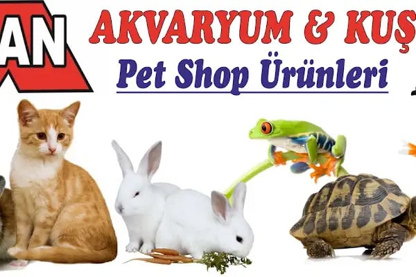 Mercan akvaryum petshop - Resim 3