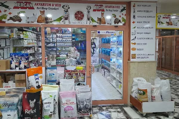 Mercan akvaryum petshop - Resim 1