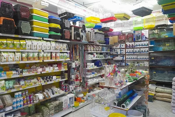 Mercan akvaryum petshop - Resim 2