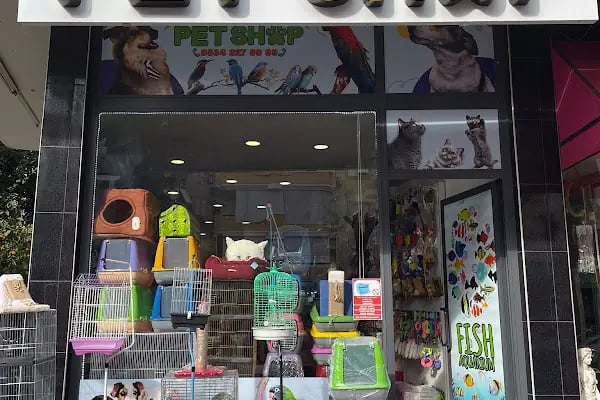 Masal petshop - Resim 2