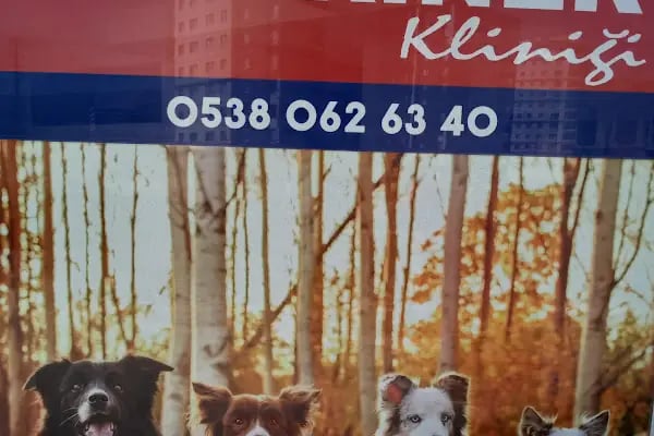 Yenikent Arıkök Veteriner Kliniği - Resim 5