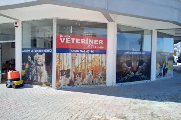 Yenikent Arıkök Veteriner Kliniği - Resim 2