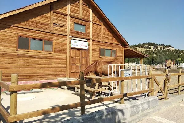 MALATLA HAYVANAT BANÇESİ - Resim 13