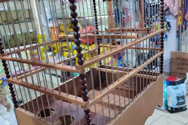 ASLI PETSHOP - Resim 12
