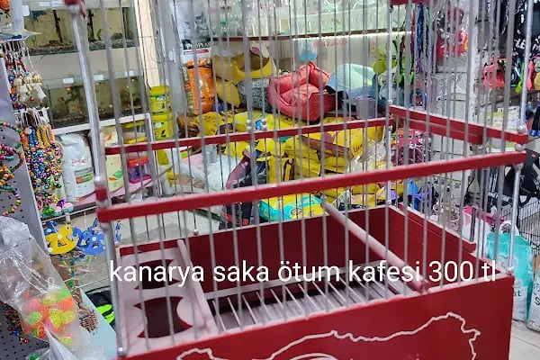 ASLI PETSHOP - Resim 2