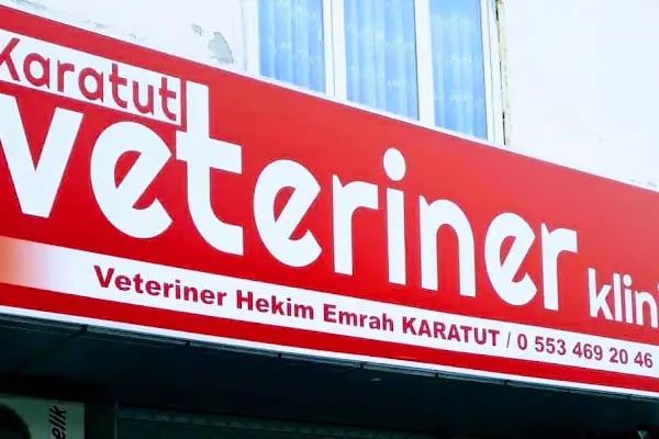 Karatut Veteriner Kliniği - Resim 1