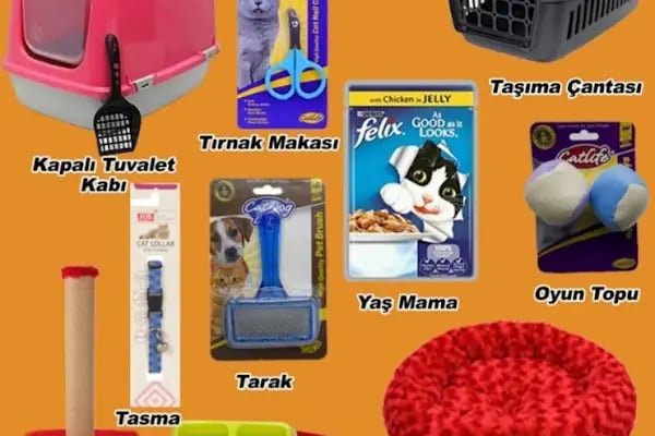 Karatut Veteriner Kliniği - Resim 8