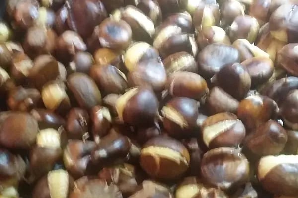 ZİYAFET ÇİĞKÖFTE OSMAN UYSAL BAĞCILAR 17 - Resim 13