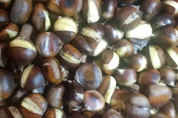 ZİYAFET ÇİĞKÖFTE OSMAN UYSAL BAĞCILAR 17 - Resim 14