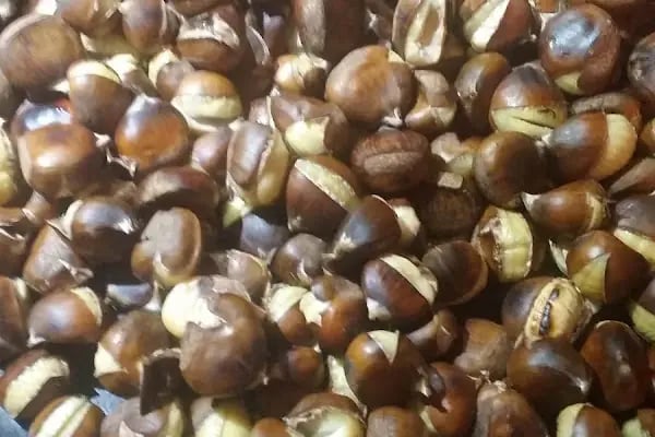 ZİYAFET ÇİĞKÖFTE OSMAN UYSAL BAĞCILAR 17 - Resim 10