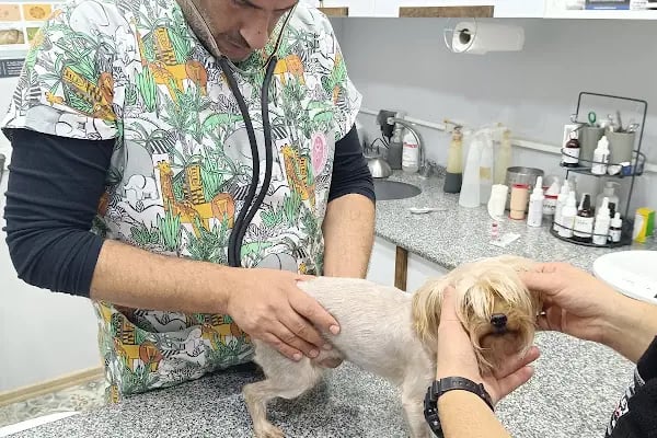 Bursa Demirci VETCLUB Veteriner Kliniği - Resim 1