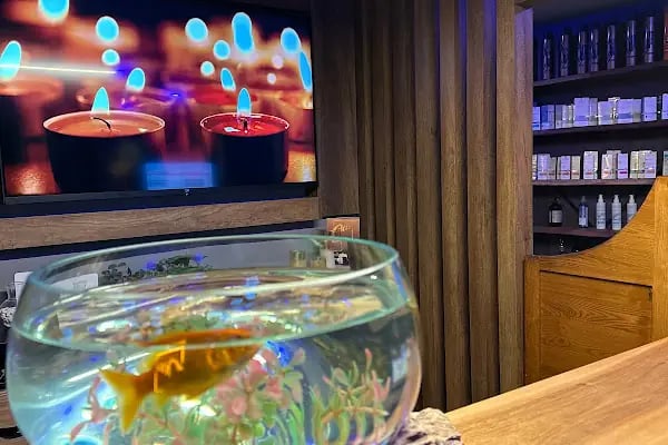 Otto Spa | Güzeltepe - The Alpfine Otel - Resim 20