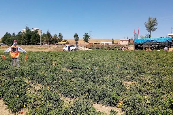 Demirbaş Un Sanayi - Resim 3