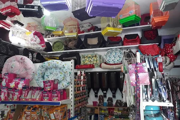 Pınar Pet Shop - Resim 5