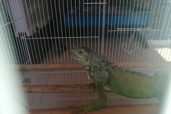 Pınar Pet Shop - Resim 8