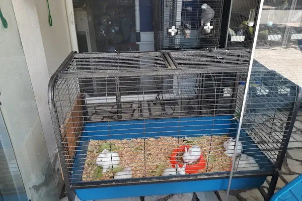 Pınar Pet Shop - Resim 12