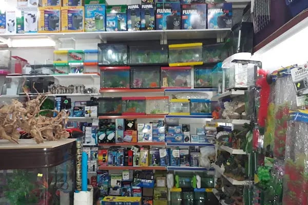 Pınar Pet Shop - Resim 10