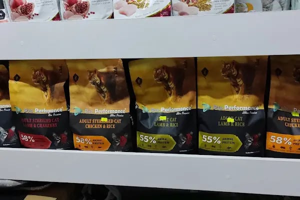 Pınar Pet Shop - Resim 11