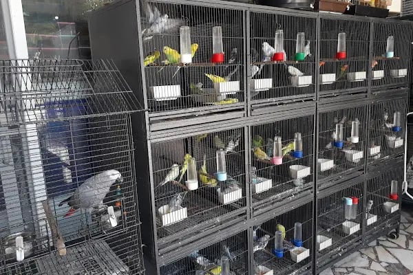 Pınar Pet Shop - Resim 3
