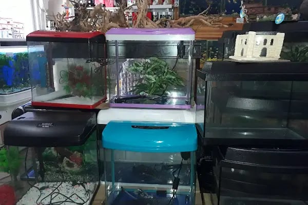 Pınar Pet Shop - Resim 20